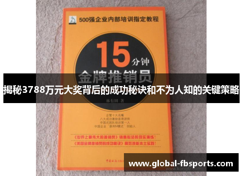 揭秘3788万元大奖背后的成功秘诀和不为人知的关键策略
